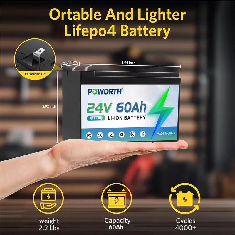 Bateria de lítio 24V LiFePO4 4 - Renewable Energy Source avaliação e preço